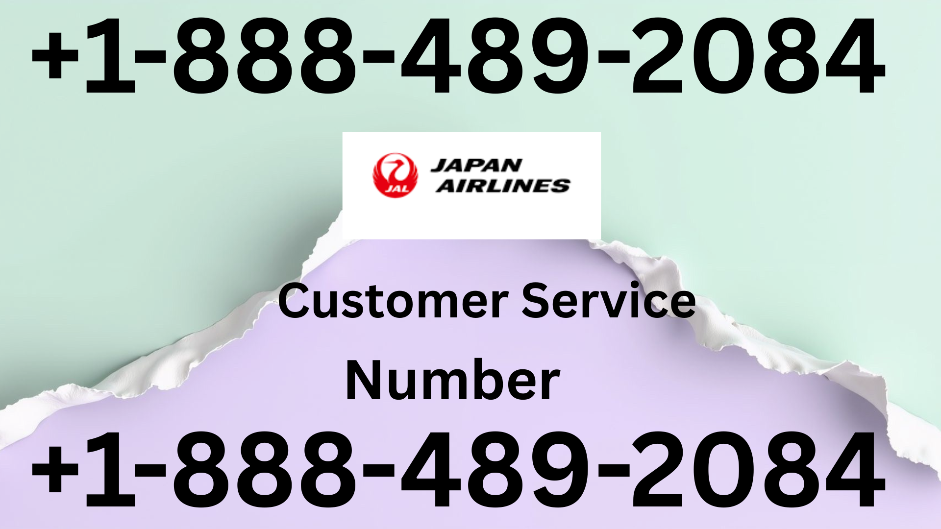Japan Airlines&reg; Customer Service Complete Guide = Step-by-Step Help &amp; Support 24/7 Japan Airlines